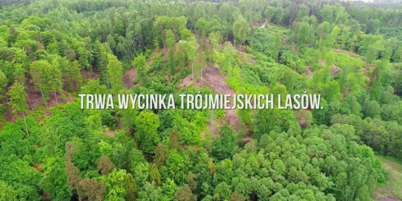 Jak uratować Trójmiejski Park Krajobrazowy?