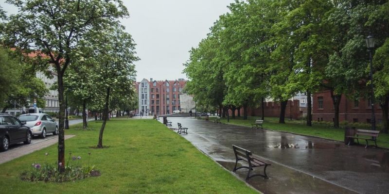 Bardziej zielone Śródmieście Gdańska. Powstaną „PlanTy na Podwalu”