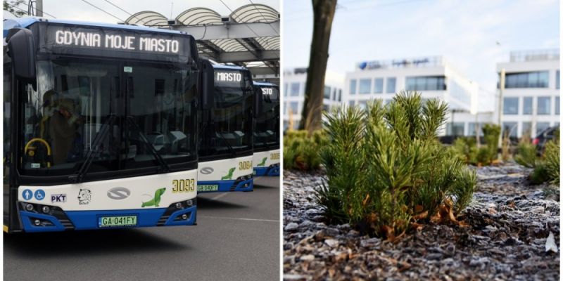 Gdynia na rzecz zielonej odbudowy miast