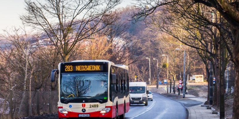 Od piątku, 06.01.2017 drobne zmiany na liniach pruszczańskich