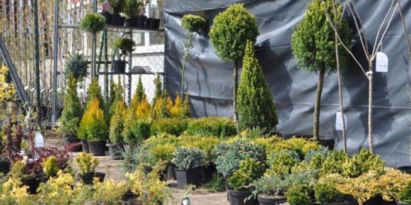 „Gaje Ojców” po raz siódmy – przez dwa dni w pięciu gdańskich parkach