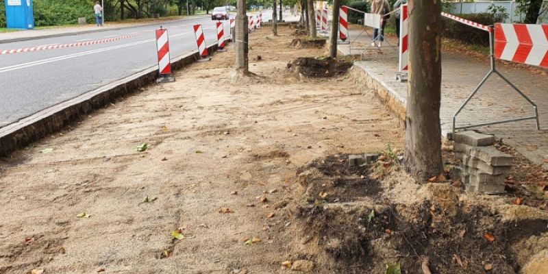 Ekologiczna transformacja w stolicy – zieleń zamiast betonu