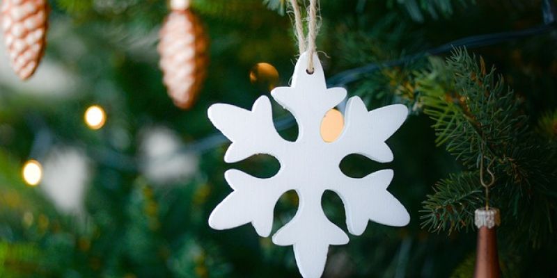 Gdzie zostawić drzewko po okresie świątecznym?