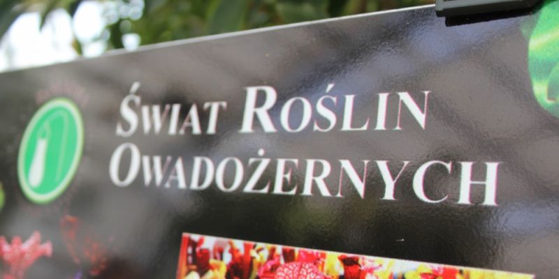 Wystawa roślin owadożernych