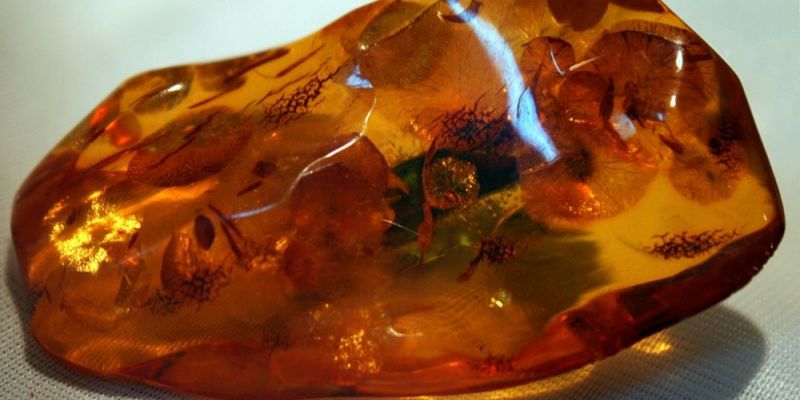 Bursztynowy zawrót głowy na Ambermart