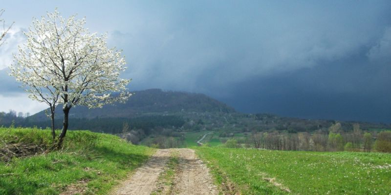 Pokaz slajdów i spotkanie Alicja Mojko