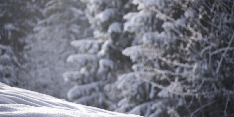 Prognoza pogody dla Warszawy na najbliższy tydzień