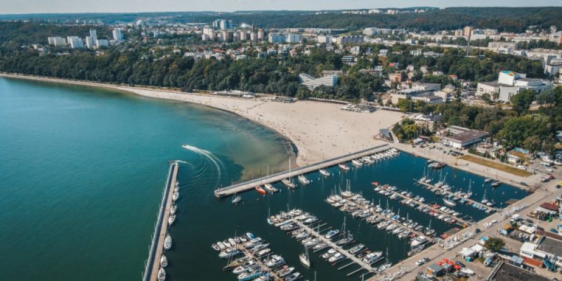 Kwitną sinice. Sprawdzamy, dlaczego warto zaczekać z kąpielą