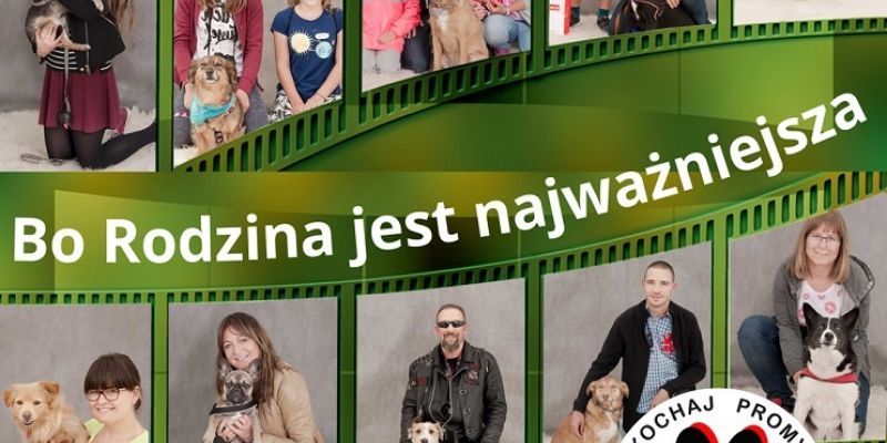 Zlot rodzin adopcyjnych podopiecznych Schroniska Promyk