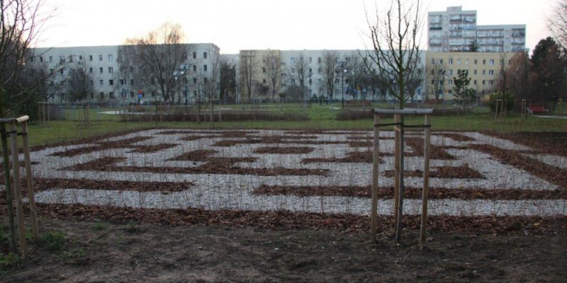 Na Ursynowie powstał ekologiczny labirynt