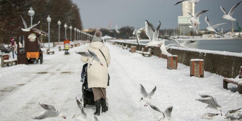 Uwaga, zima! Dziś śnieg, silny wiatr i zamieci śnieżne