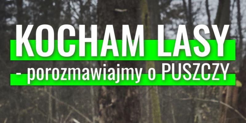 Kocham Lasy - porozmawiajmy o Puszczy Białowieskiej