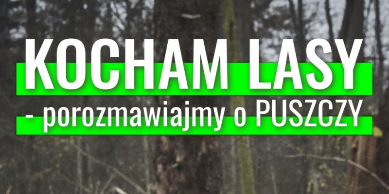 Kocham Lasy - porozmawiajmy o Puszczy Białowieskiej