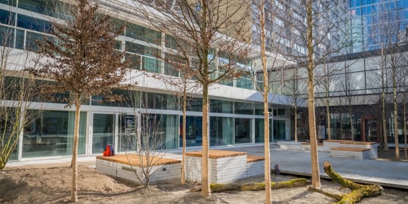 Tadeusz Rolke w Zodiaku. Pierwsza pośmiertna prezentacja fotografii artysty