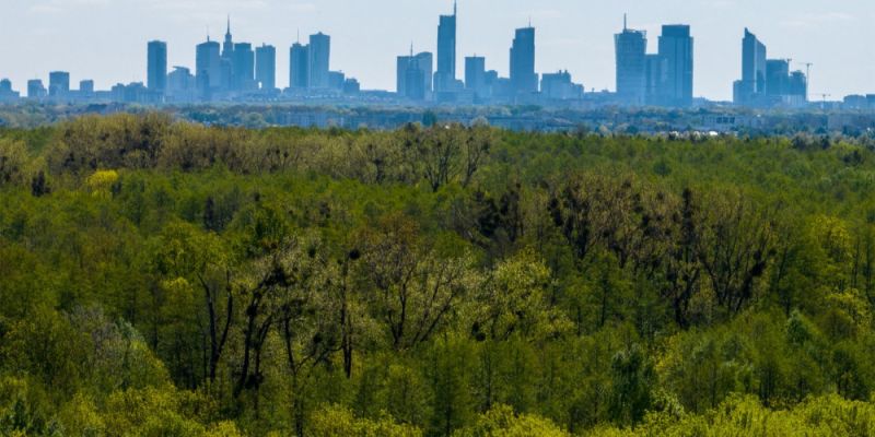 100 hektarów dla Lasów Miejskich