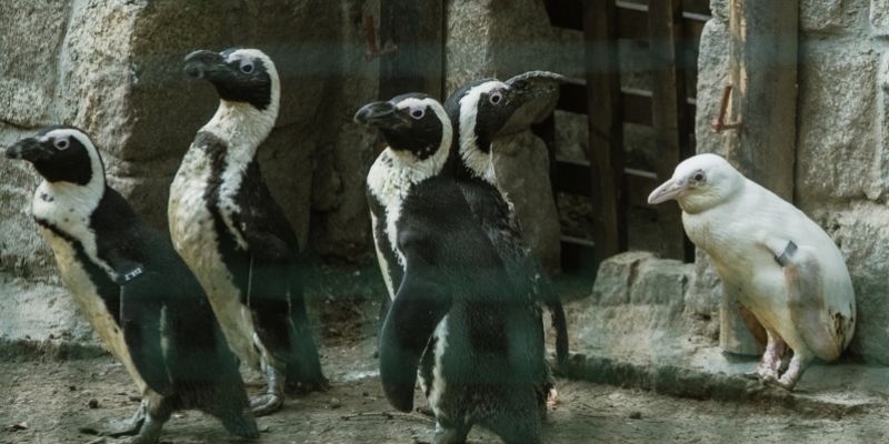 Ferie w ZOO? Gdański Ogród Zoologiczny zaprasza