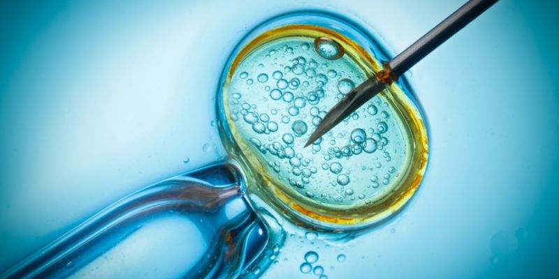 39 dzieci urodziło się dzięki dofinansowaniu z gdańskiego programu in vitro