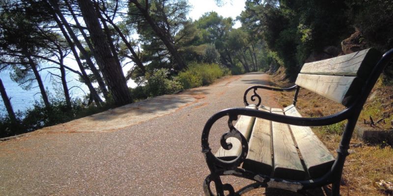 Podyskutujmy, jak ma się zmienić Park Zdrojowy