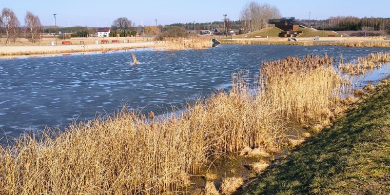 Ostrzeżenie PSP: Lód na jeziorach i stawach staje się niebezpieczny