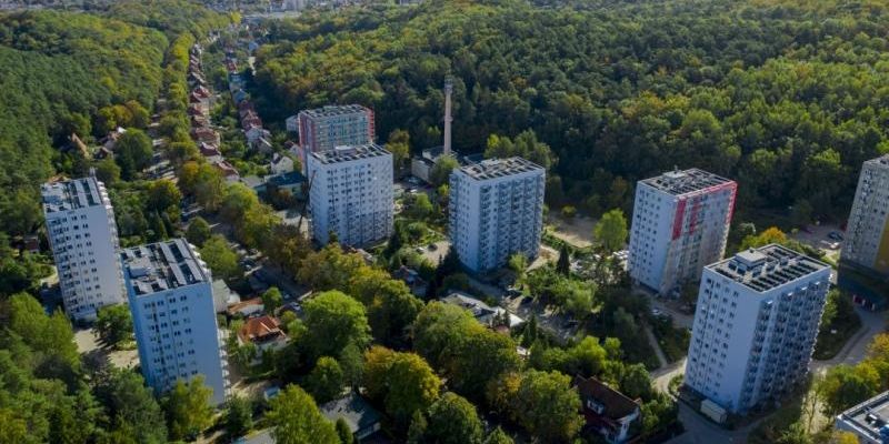 Koncert na dachu, czyli „Piano w naturze w Gołębiewskiej Dolinie”