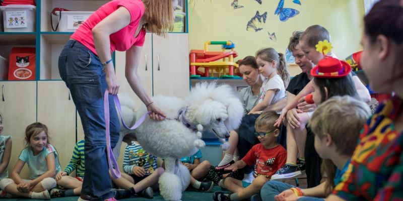 Wszystkie łapy na pokład, czyli podsumowanie ogólnopolskiego programu dogoterapii