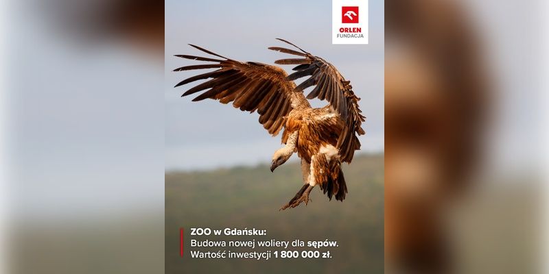 Nowa woliera dla sępów w Gdańskim ZOO