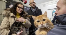 Gdańsk buduje Dom Kota w schronisku Promyk – koty zyskają nowoczesne warunki