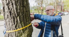 Gdańsk cyfryzuje zieleń. Nowa mapa pozwala sprawdzić każde drzewo i zgłosić problem jednym kliknięciem