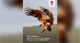 Nowa woliera dla sępów w Gdańskim ZOO